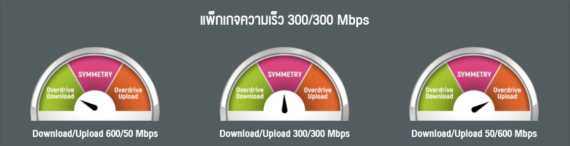 speed toggle 300 mbps